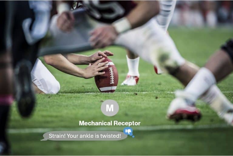 sports injury, ankle sprain pain notification