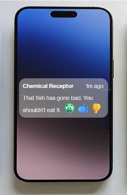 pain signal from chemoreceptor